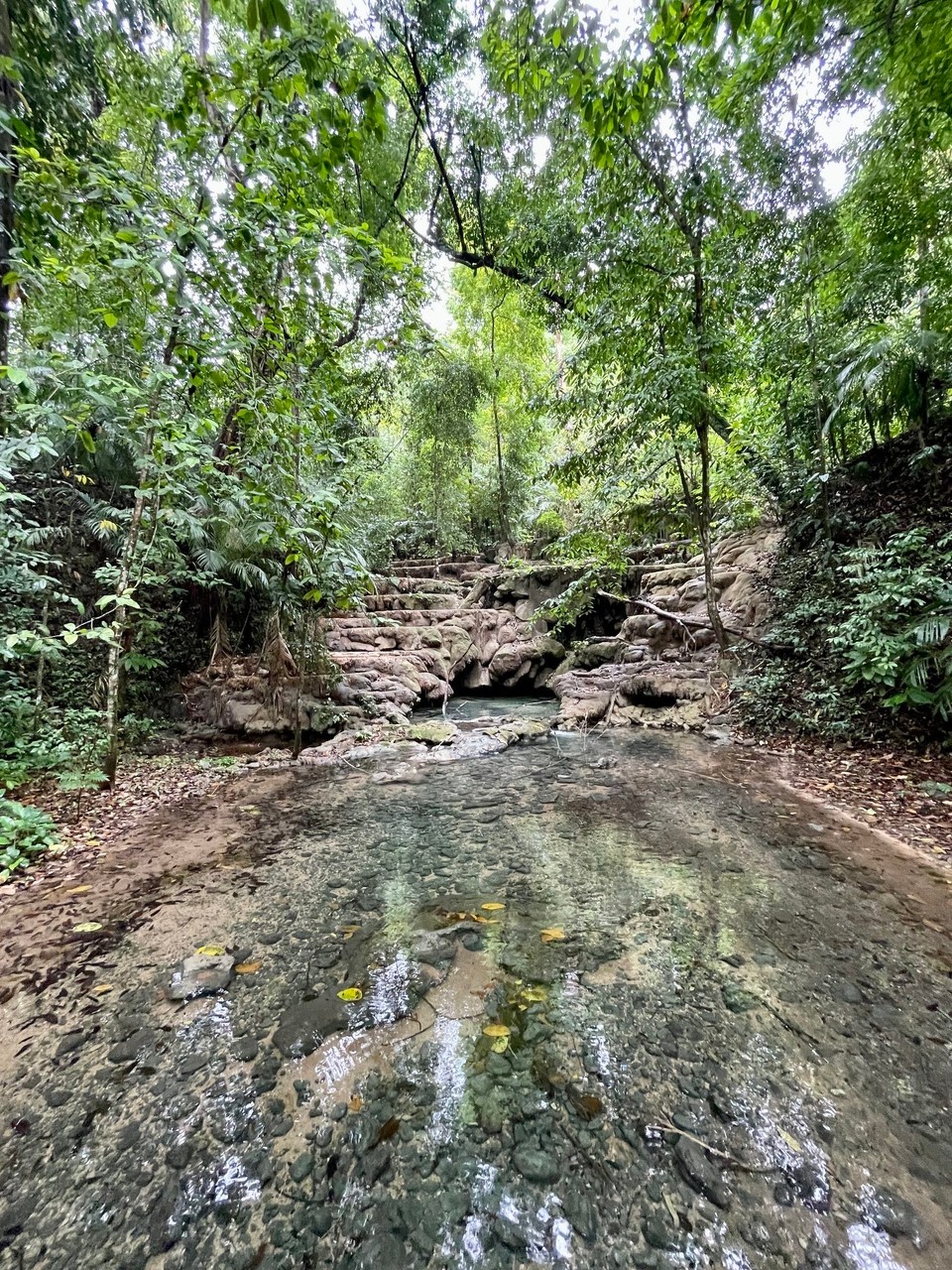 Mexiko - Palenque - 