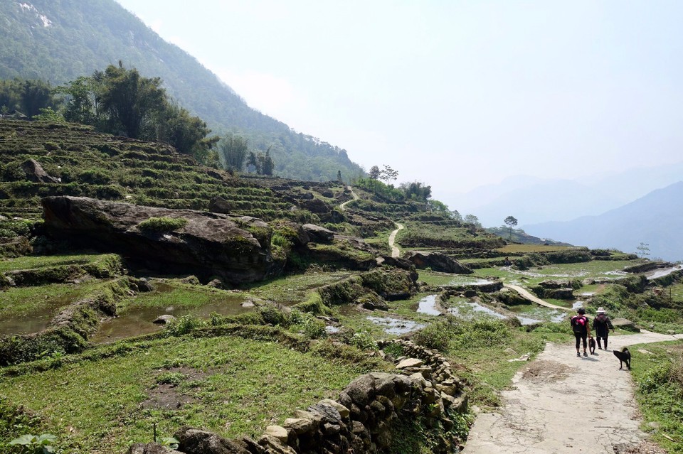 Vietnam - H. Sa Pa - 