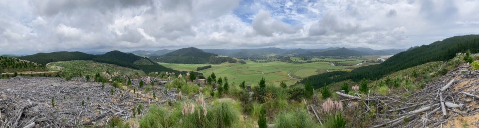 Neuseeland - Whangamata - Nachmittagsausflug 😀