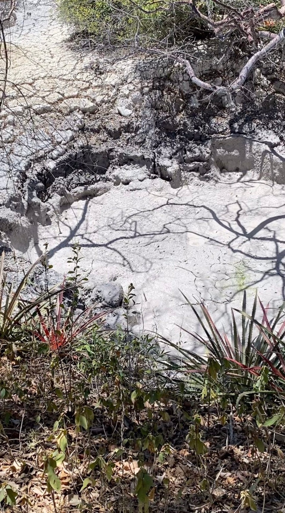 Costa Rica - Upala - Und sogar einen kleinen Vulkan🌋. 