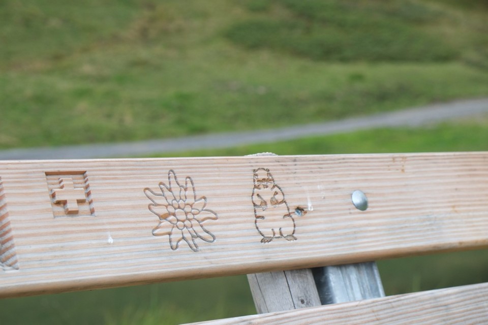 Schweiz - Wengen - 