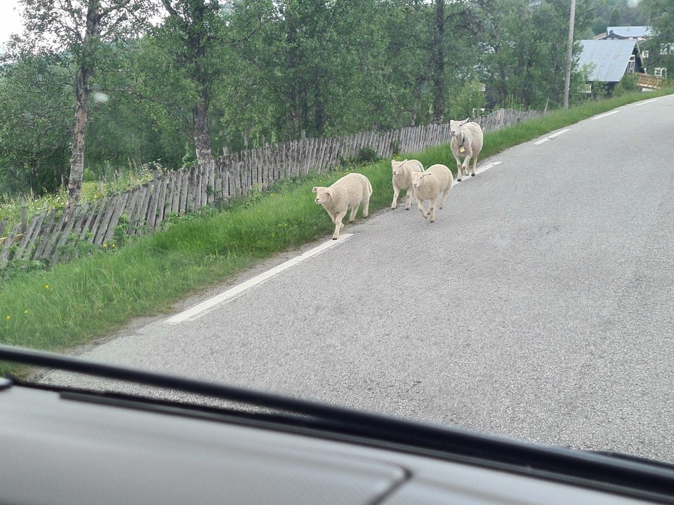 Norwegen - Skåbu - 