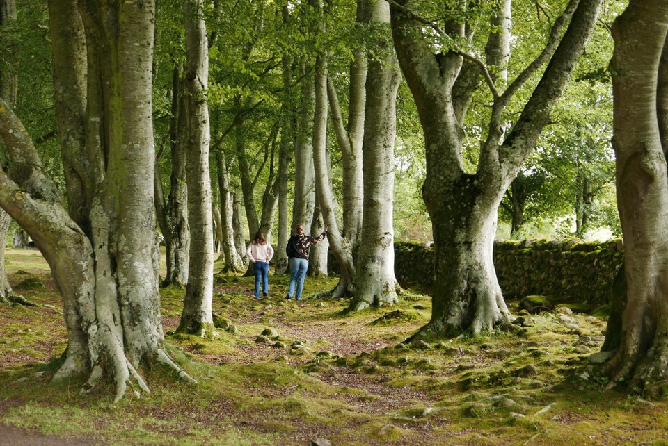 Vereinigtes Königreich - Inverness - 