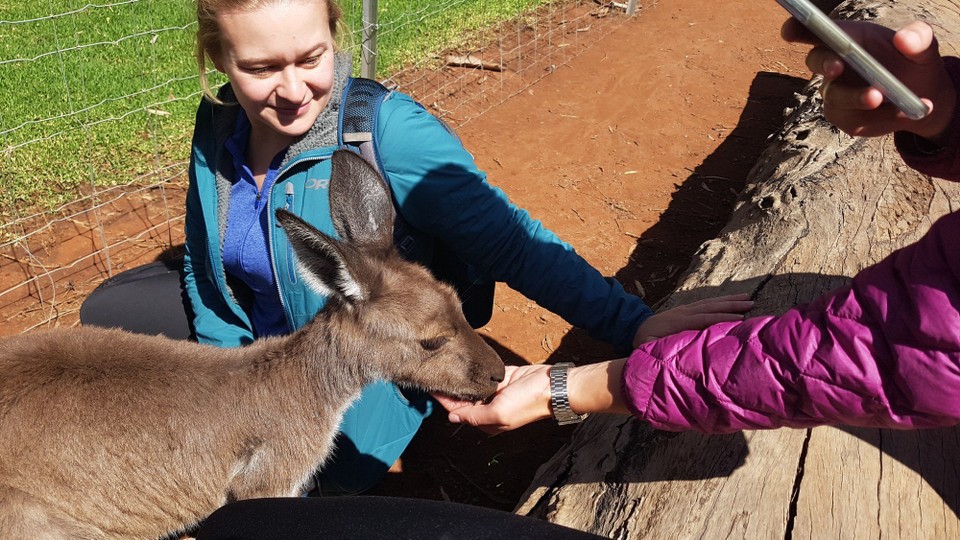 Australien - Via Hawker - 