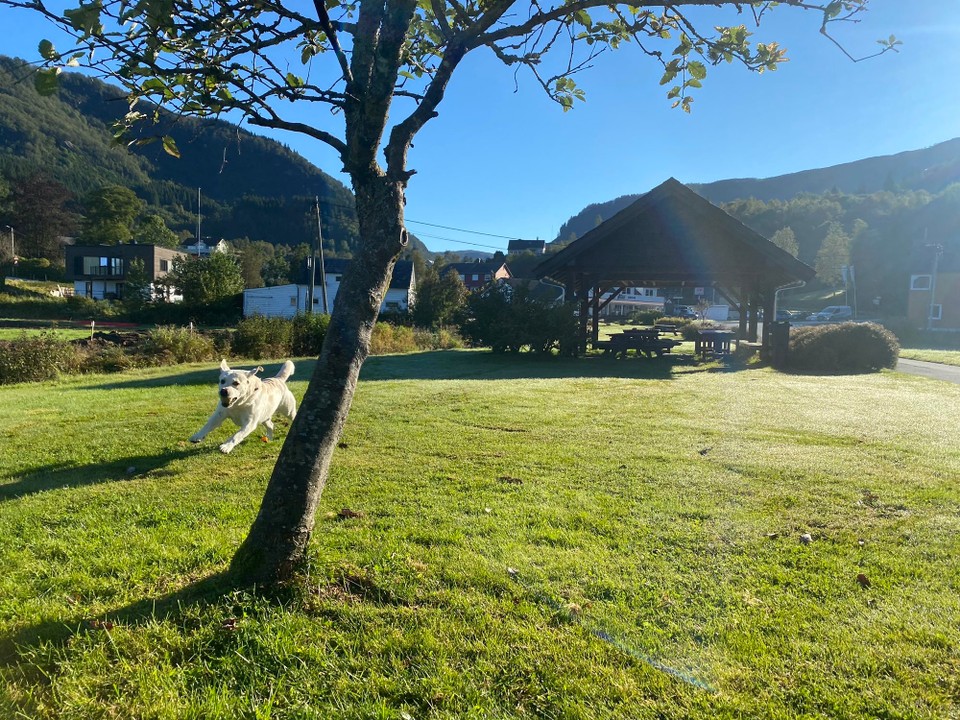 Norwegen - Eikelandsosen - 