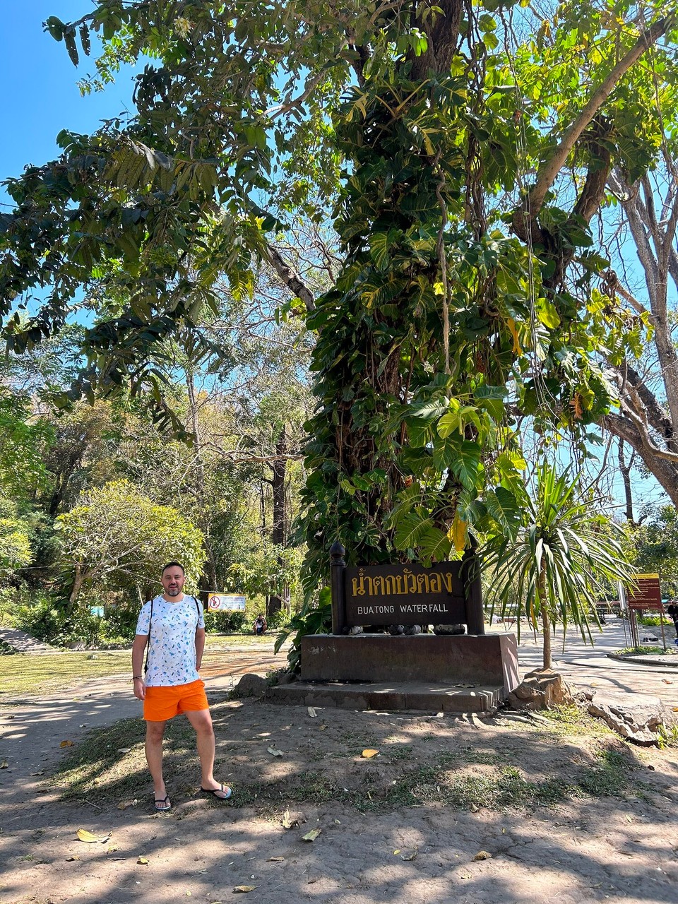 Thailand - Chiang Mai - 