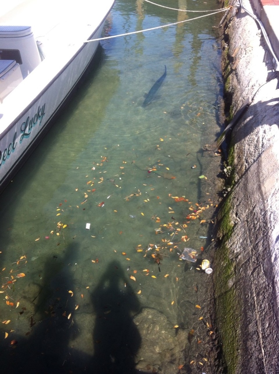 Egyesült Államok - Key West - 