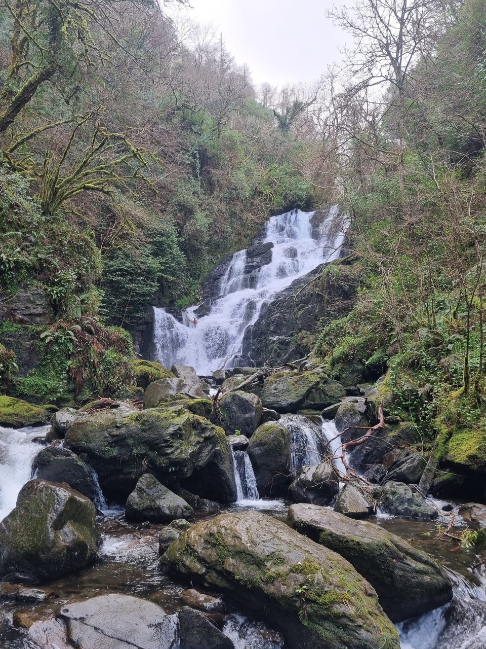 Irland - Killarney - Der Torc Waterfall
