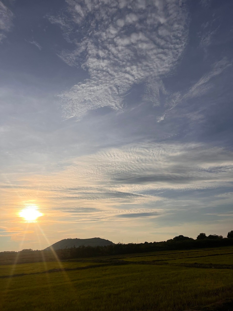 Cambodia - Siem Reap - There was 8 of us who did the sunset tour. It was beautiful and so chilled. Am and Alice the hostel workers bought us some beers and Cambodian snacks 
