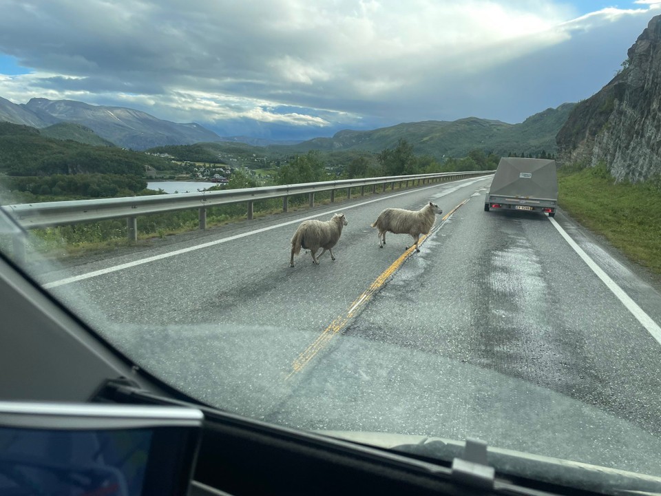 Norwegen - Alta - 