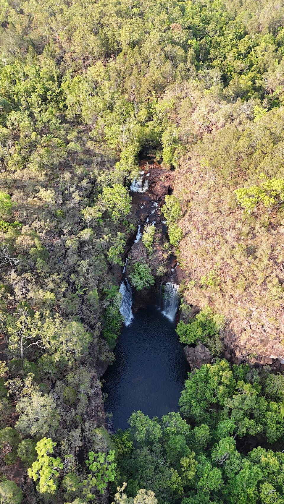 Australien - Litchfield Park - 