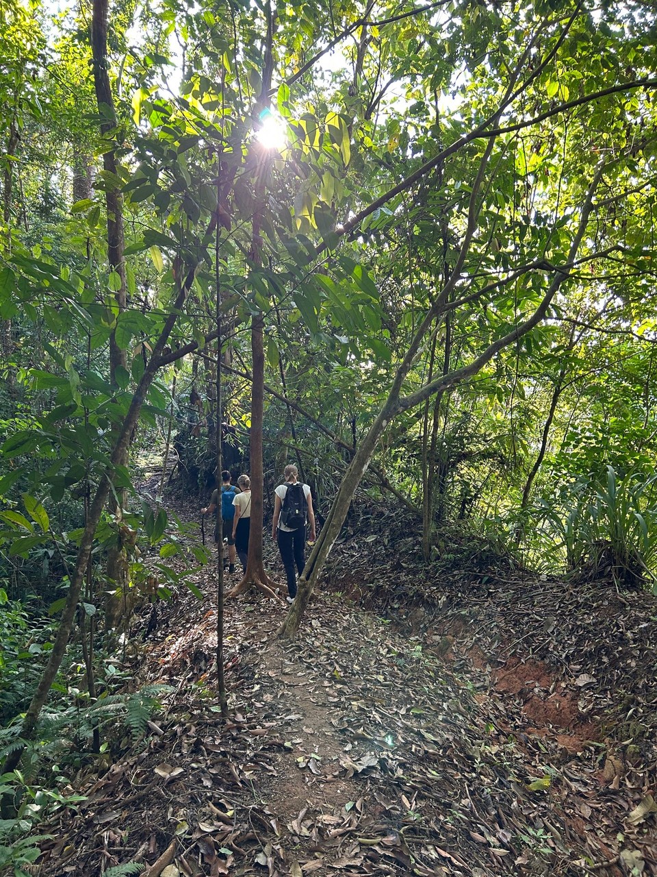 Costa Rica - Nationalpark Corcovado - 