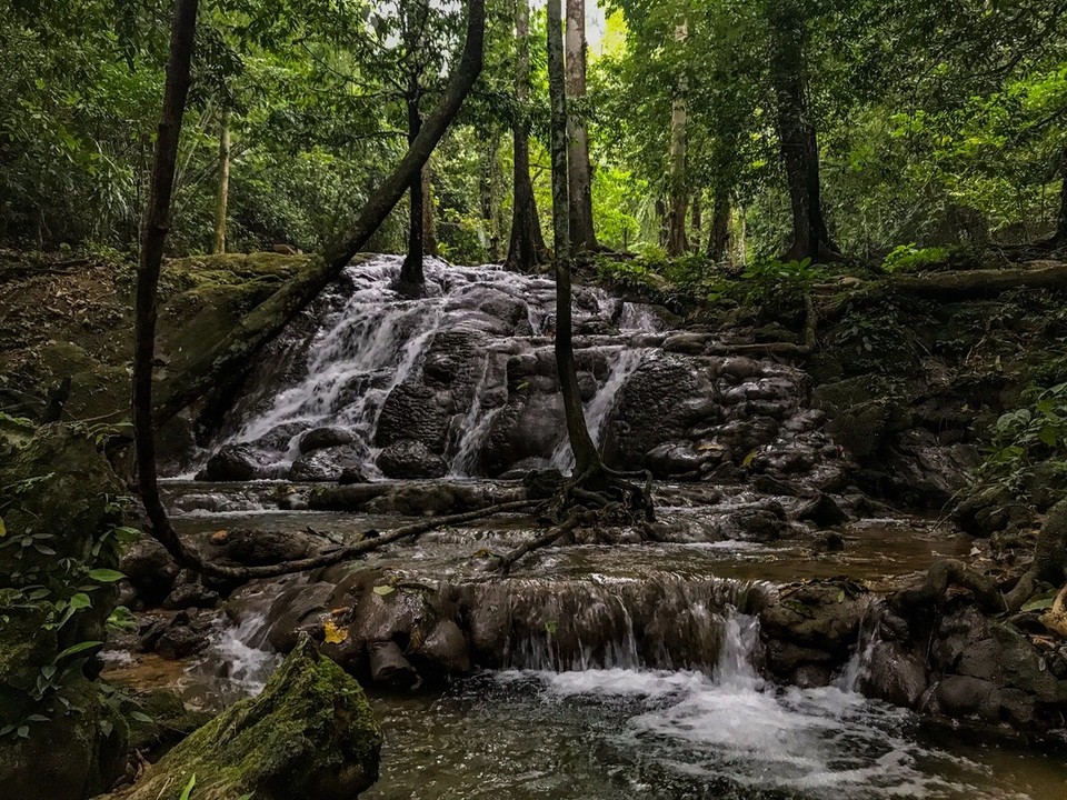 Thailand - Amphoe Chaiya - 