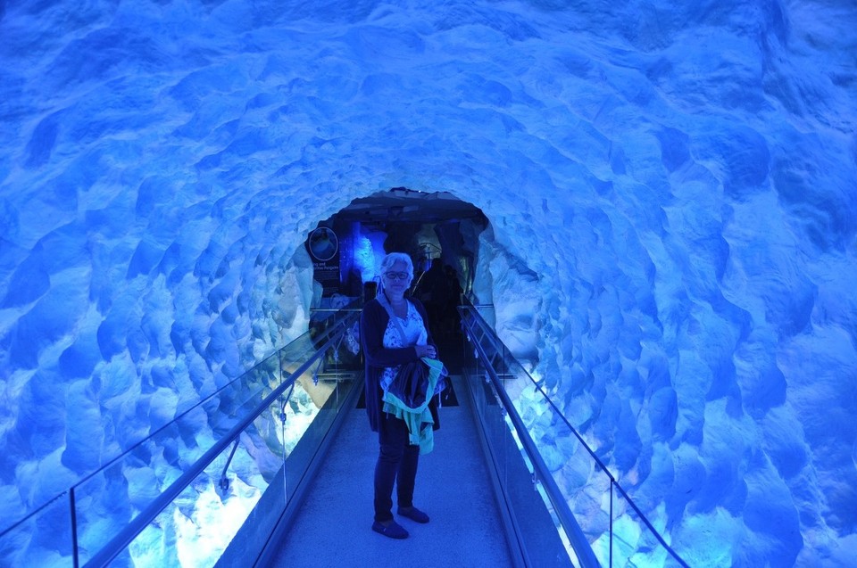 Neuseeland - Auckland - Eishöhle bei den Pinguinen