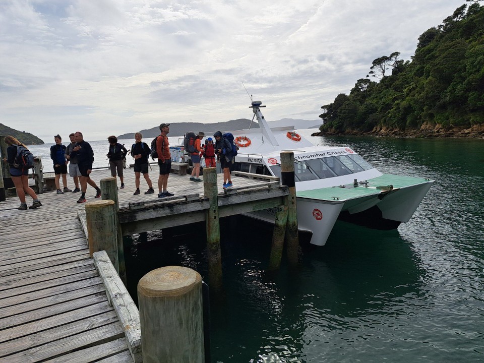 Neuseeland - Punga Cove - 