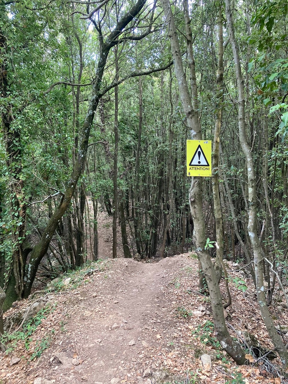 Italien - Roccastrada - nicht zu schnell, sonst fliegst du in den Wald🙈