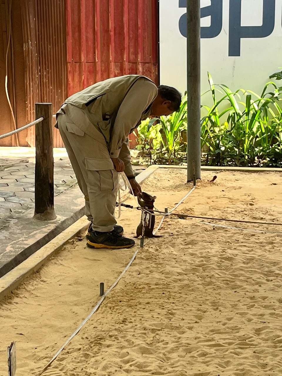 Cambodia - Siem Reap - Little guy getting his treat for finding explosives! 