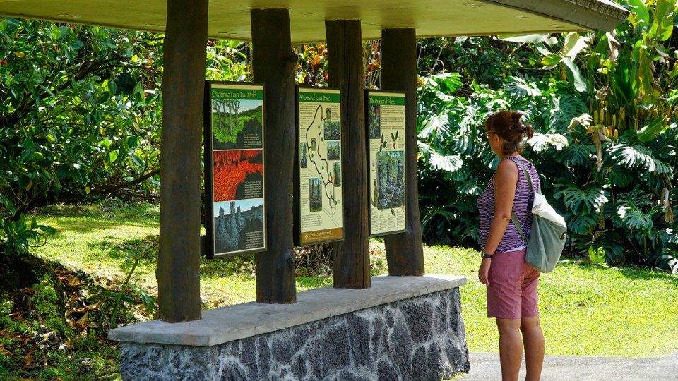 USA - Hilo - Der Lava-Tree-Park