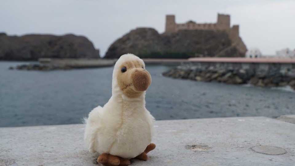 Oman - Maskat - Hallo Doretta, was machst du denn hier?