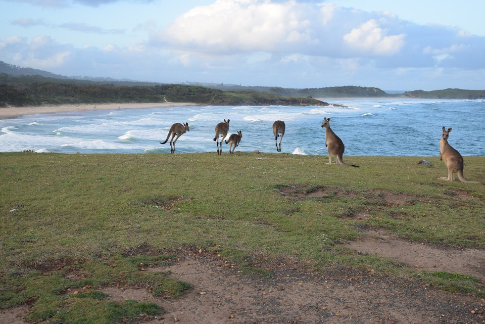 Australien - Coffs Harbour City - 
