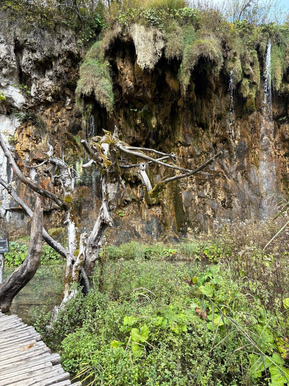 Kroatien - Čatrnja - 