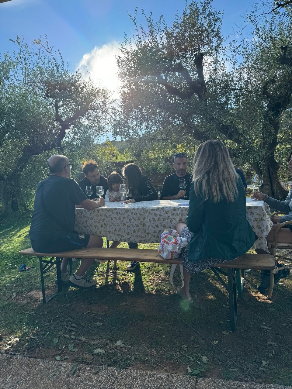 Italien - Marciana - Im Garten des Weinguts 