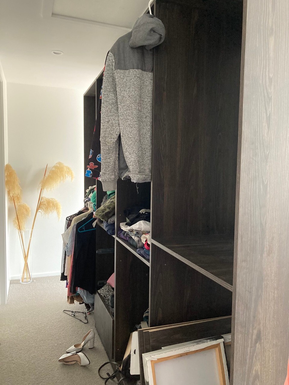 Neuseeland - Westland National Park - Sonntag, es regnet wieder. Heutige Aufgabe deswegen - Kleiderschrank fertig zusammenbauen 🤓