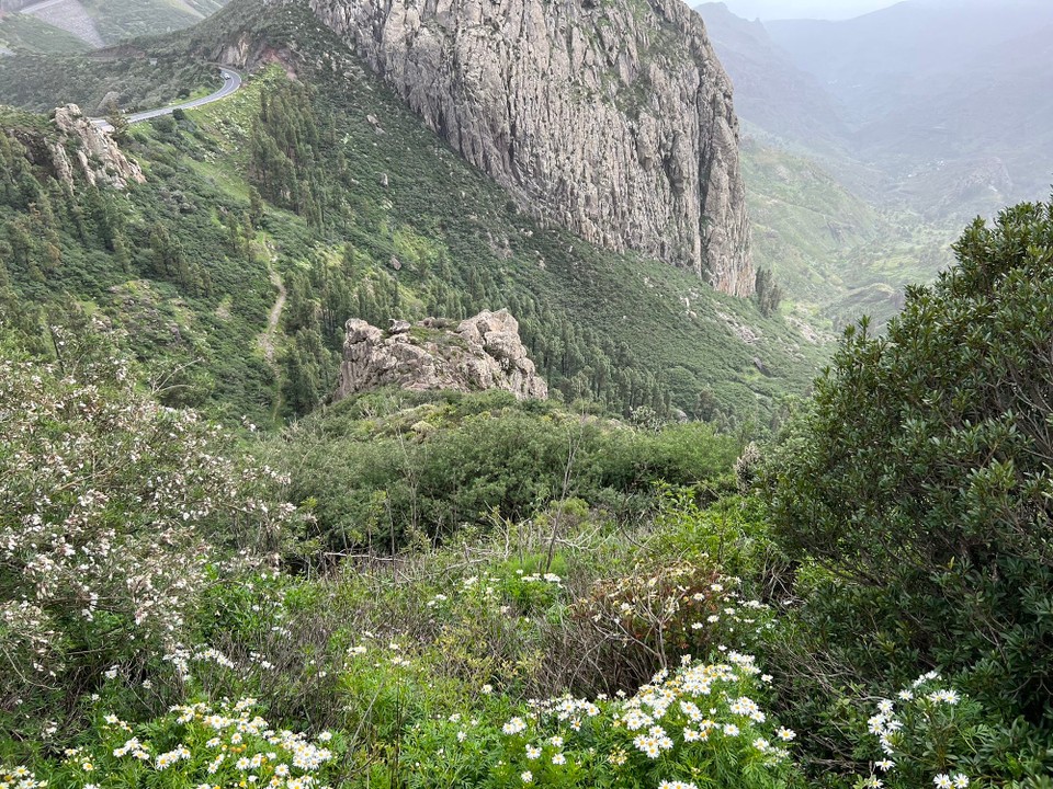 Spanien - Vallehermoso - 