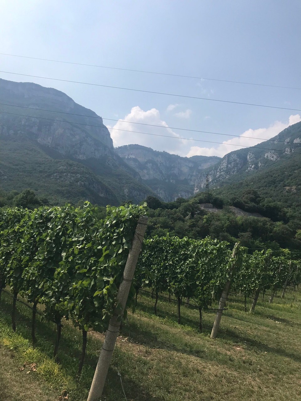 Italien - Pomarolo - 