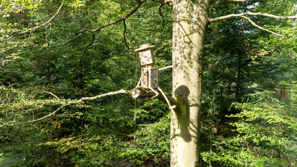 Deutschland - Bad Wildbad - 