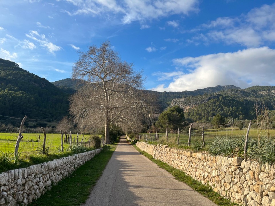 Spanien - Estellencs - 