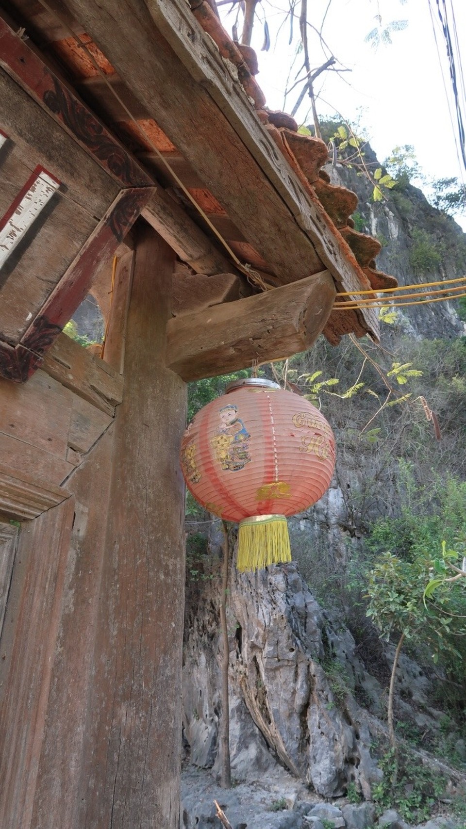 Vietnam - Ninh Bình - 