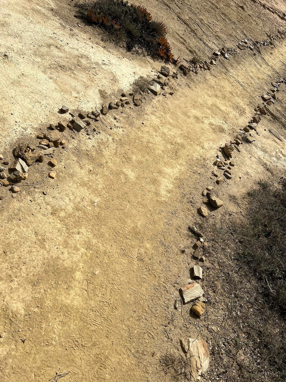 Portugal - São Teotónio - 