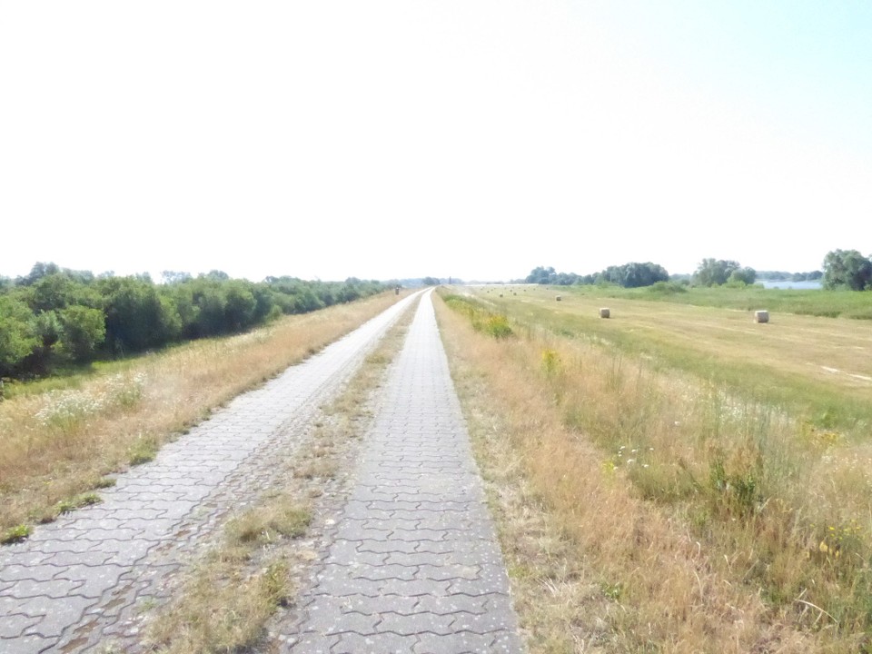 Deutschland - Dömitz - Es ging los mit "11 km dem Weg folgen". Zu dem Zeitpunkt wusste ich noch nicht, was mich erwartet und war recht fröhlich und flott unterwegs.
