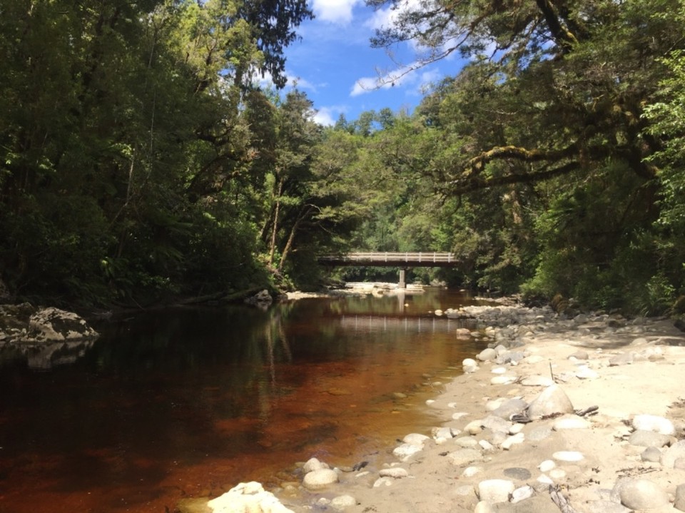 Neuseeland - Oparara River - 