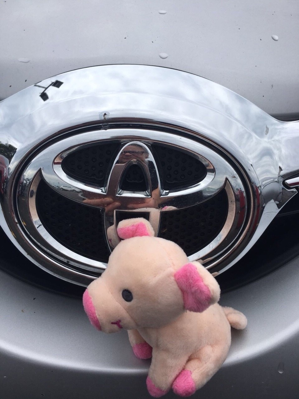  - Australien, Mascot, Flughafen Sydney - Aha mit Toyota soll’s bis Ende Januar rund laufen?