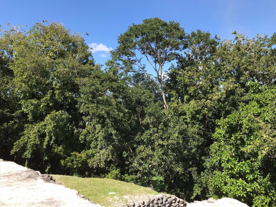 Belize -  - 