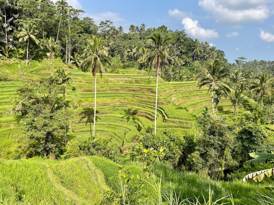 Indonesien - Gianyar - 