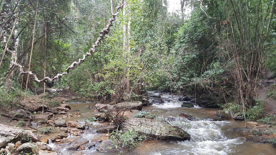Thailand - Ban Luang - Entlang an schönen Schluchten, tauchten immer wieder eindrucksvolle Felsformationen im Fluss auf.