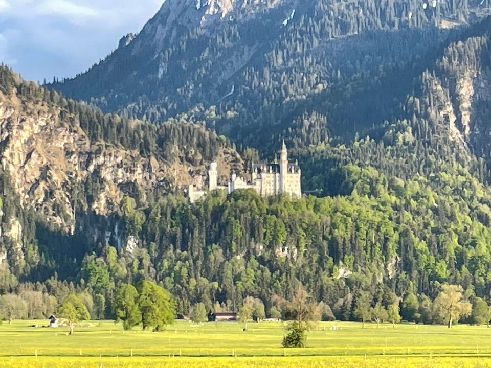 Deutschland - Schwangau - Schloss Neuschwanstein. Luftlinie ca. 1 km vom Hotel entfernt. 
Vielleicht morgen zum Auftakt ein Abstecher zum Schloss.