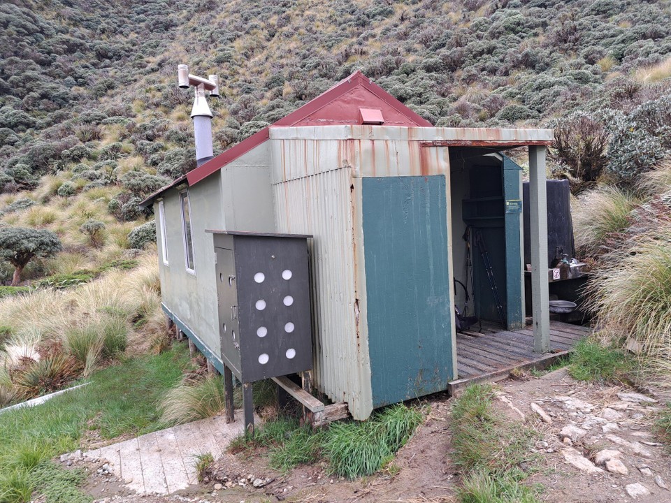 Neuseeland - Te Aroha trail PK - 