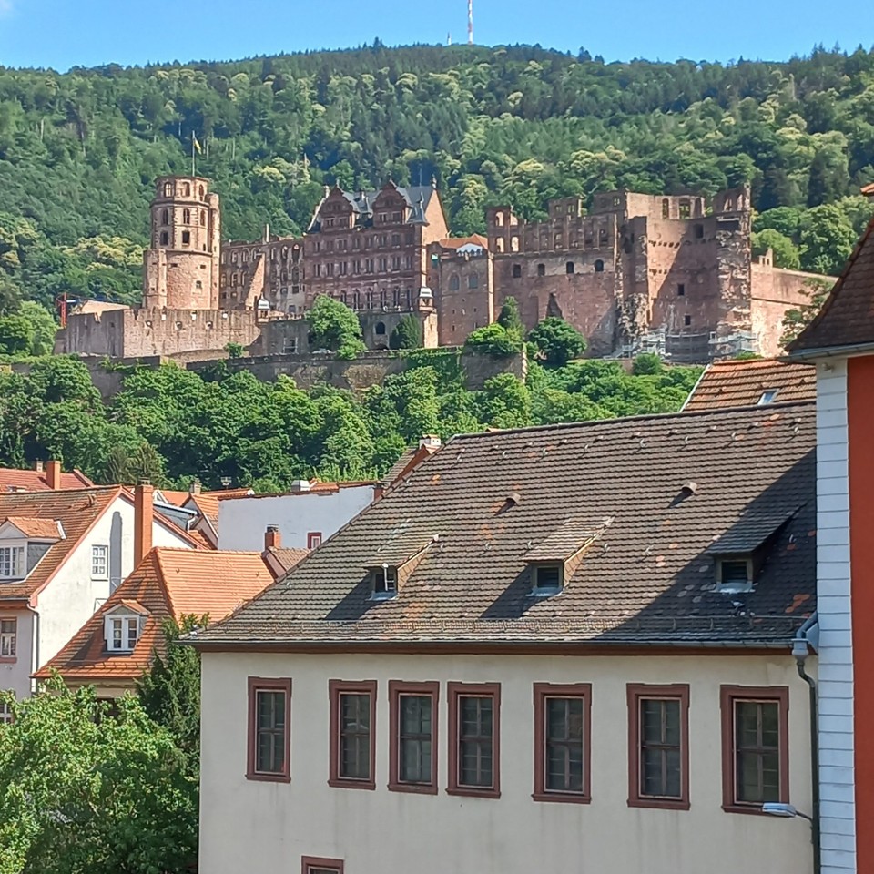Deutschland - Heidelberg - Heidelberger Schloss