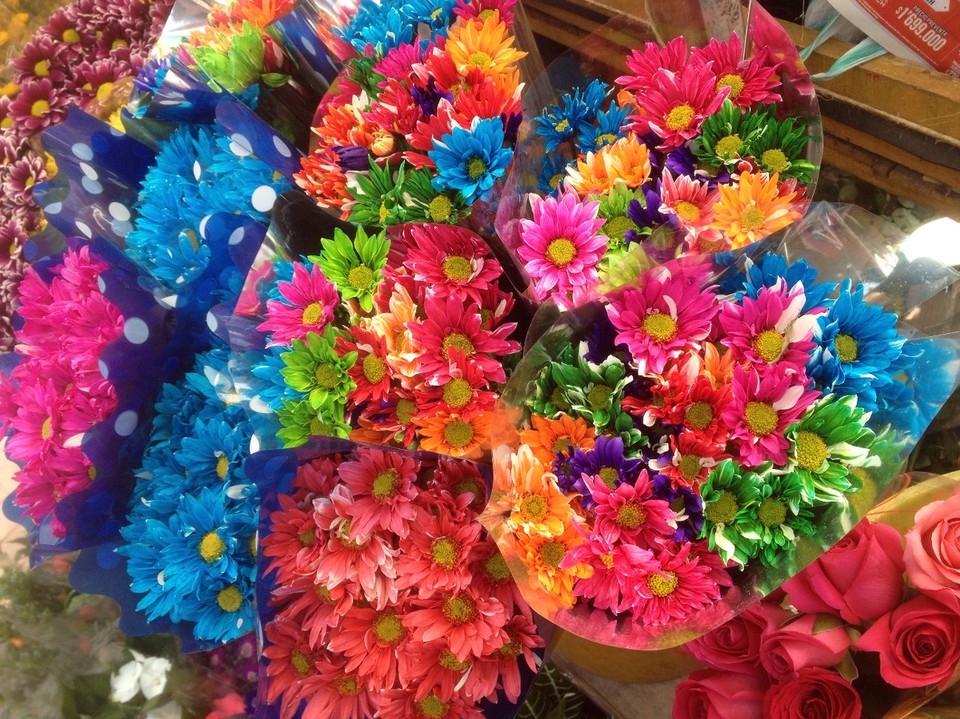 Colombia - Bogotá - Es gibt viele Blumenstände. Teilweise haben Rosen noch ein kleines Netz um die Blüte herum, dass sie nicht so schnell aufgehen. Manch andere Blumen sind bunter, als man es sich erträumen könnte.