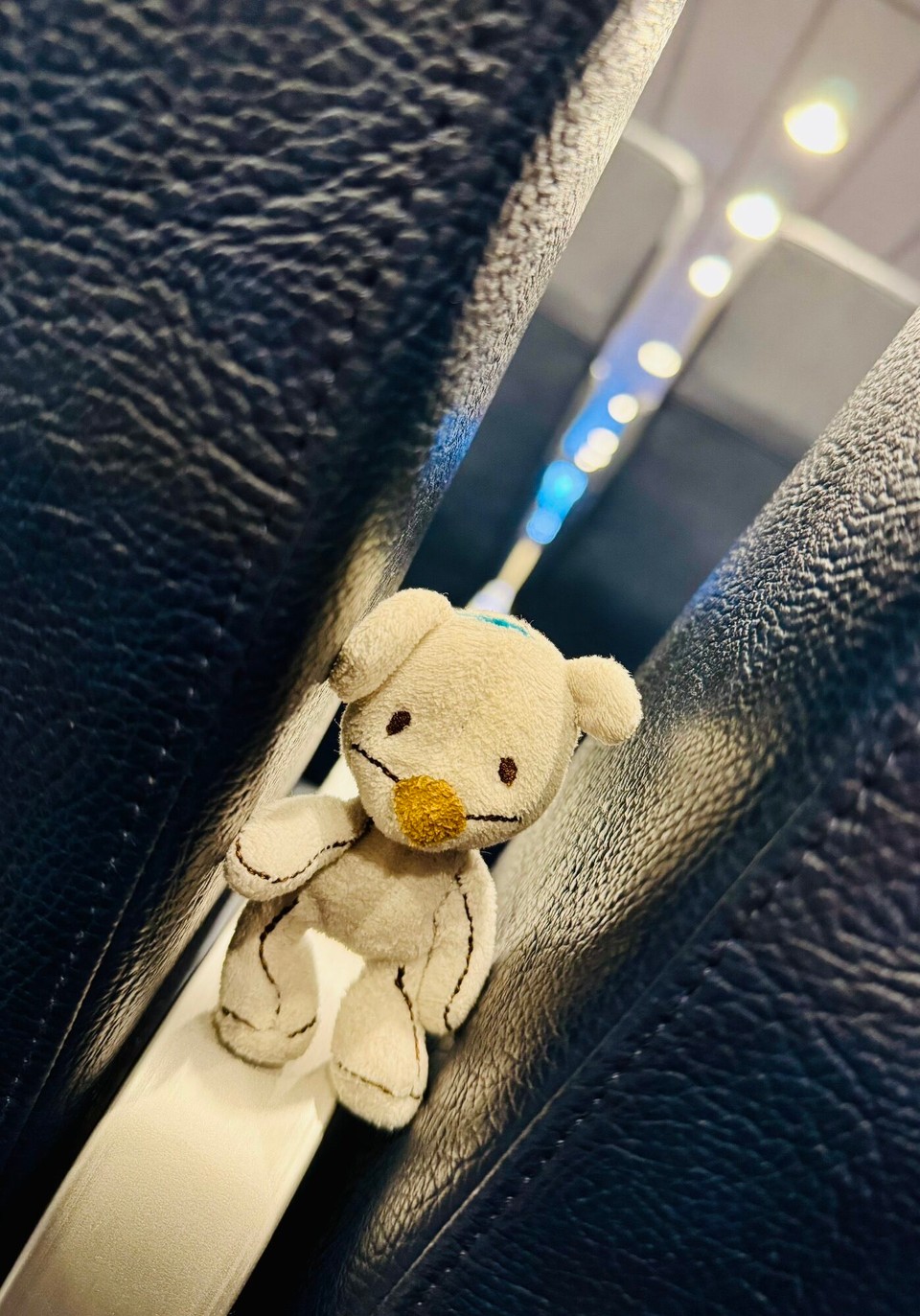 Deutschland - Rostock - Schlafplatz gefunden. 