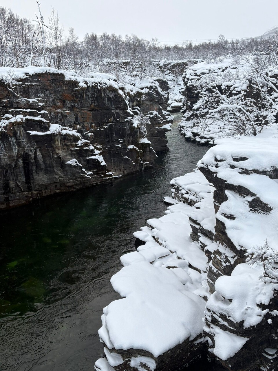 Schweden - Abisko - 