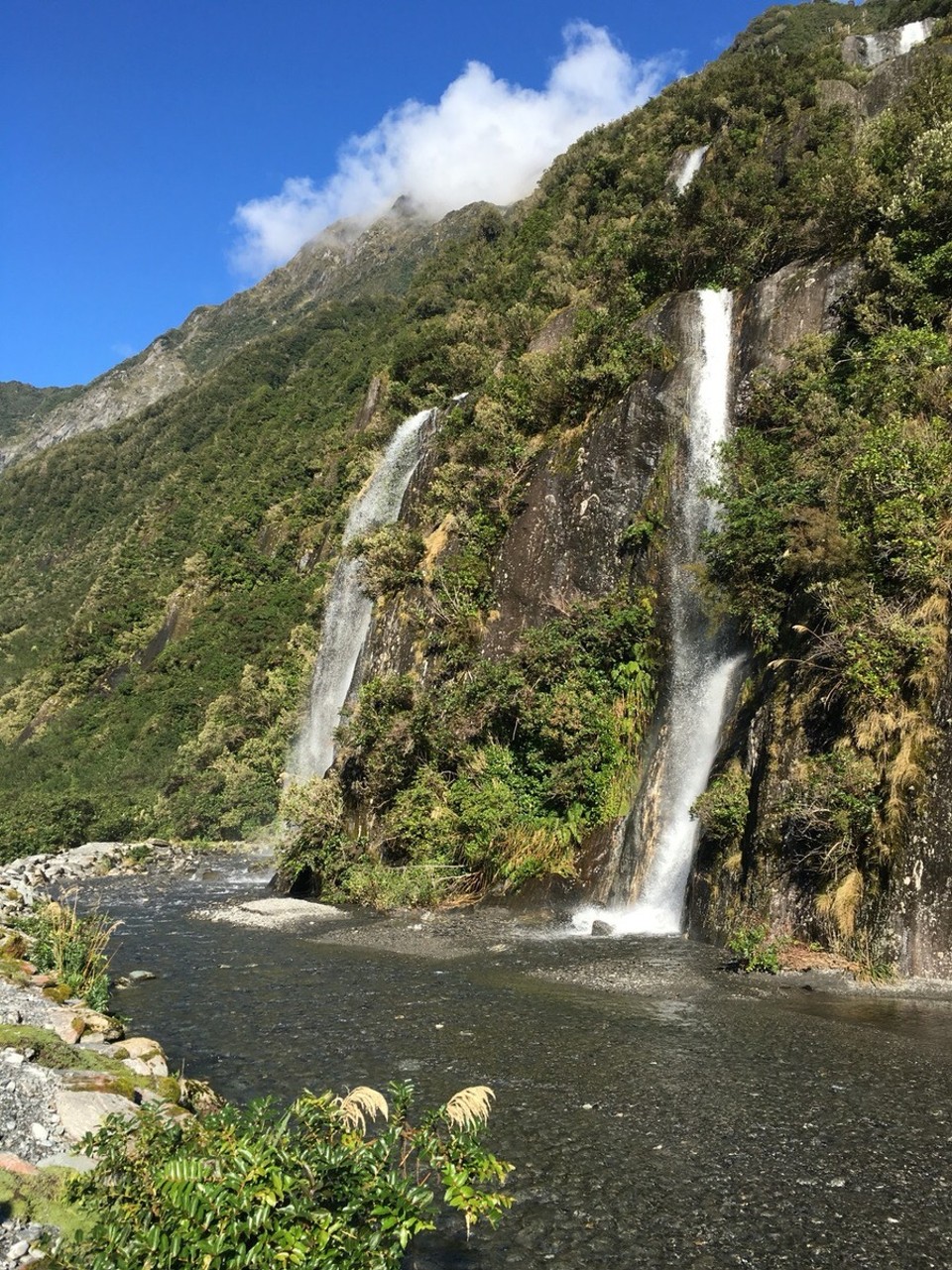 New Zealand - Franz Josef Glacier - Nein das Bild ist hier nicht falsch - so sieht das auf dem Weg zum Gletscher aus 