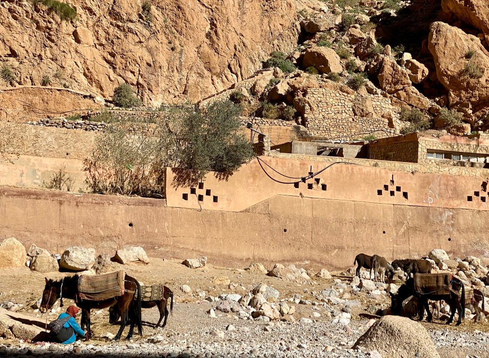 Marokko - Ouarzazate - 