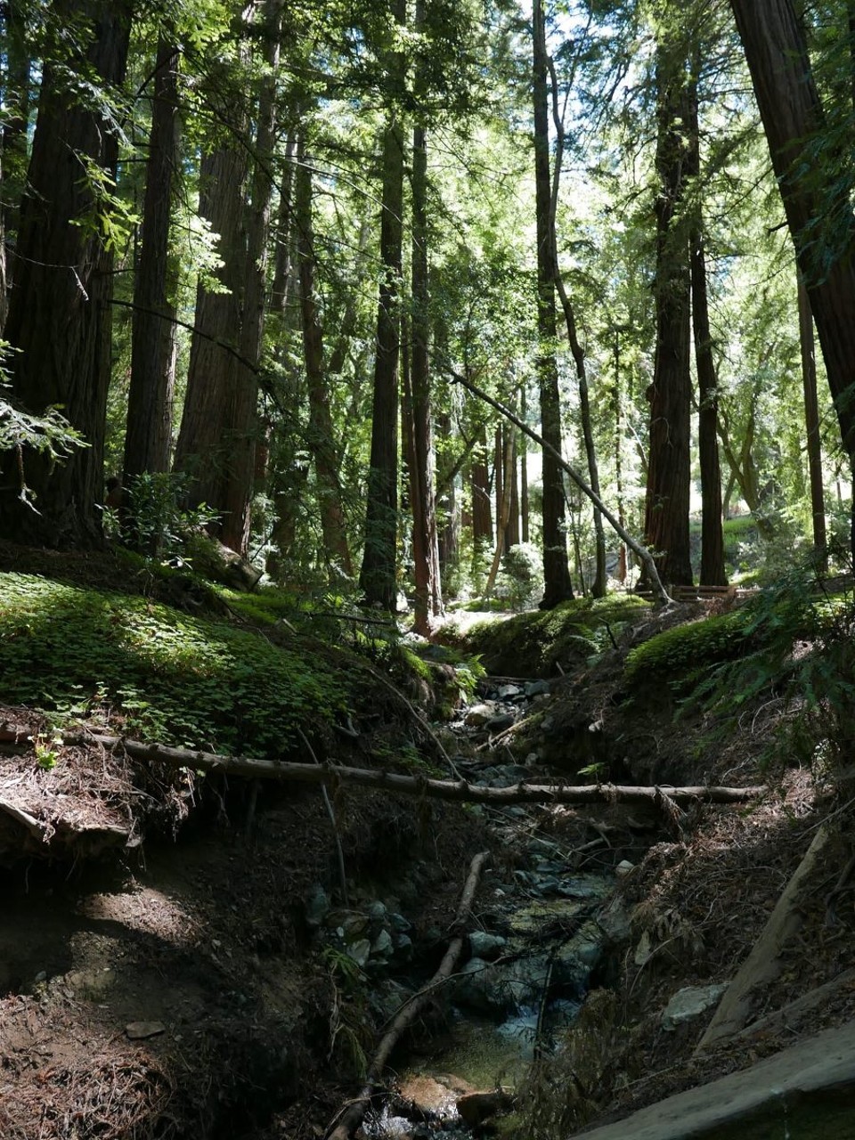 USA - Big Sur - Auf unserem kleinen Spaziergang...