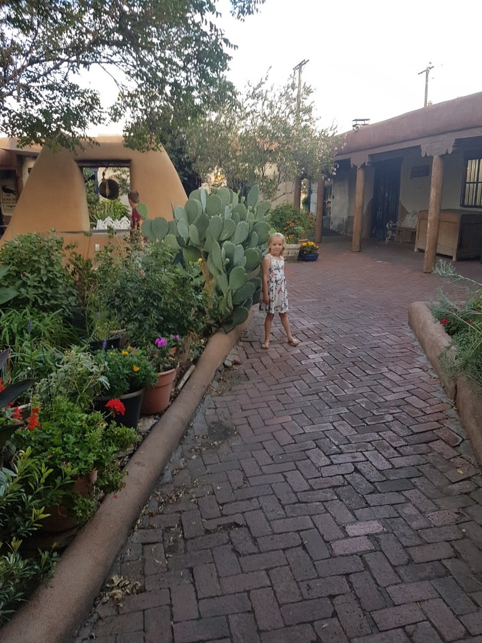 USA - Albuquerque - 