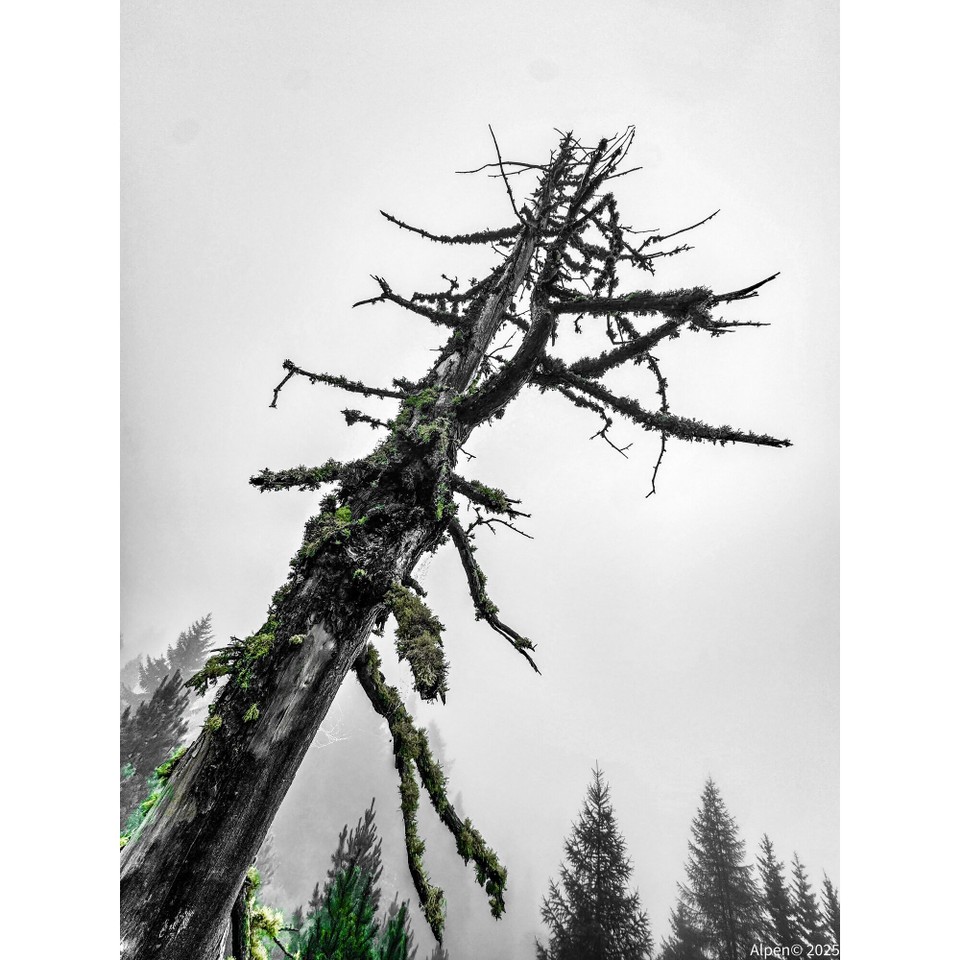 Österreich - Obernberg am Brenner - 